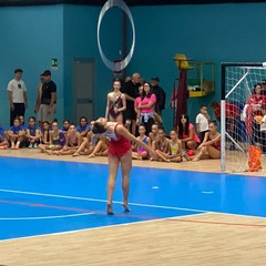 Festa dello sport