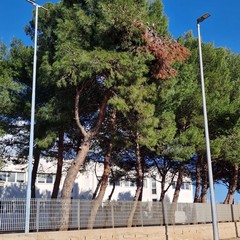 Verde pubblico, Spazio Civico Bisceglie