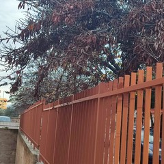 Verde pubblico, Spazio Civico Bisceglie