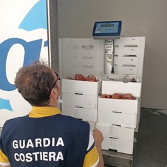 Prodotti ittici sequestrati dalla Guardia Costiera