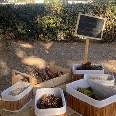 Inaugurazione Villa San Giuseppe
