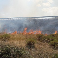 Incendio in zona Lama di Macina