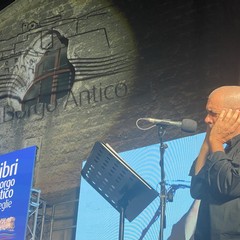 Luca Violini