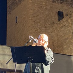 Luca Violini
