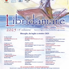Libridamare manifesto