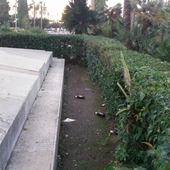 Le conseguenze degli atti di vandalismo presso il monumento ai caduti di piazza Vittorio Emanuele II