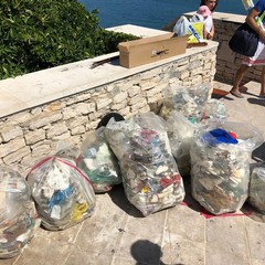L'associazione "Muvt" si presenta con una pulizia sulla spiaggia