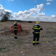 Nucleo Guardia Ambientale Bisceglie