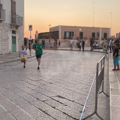 palio della quercia