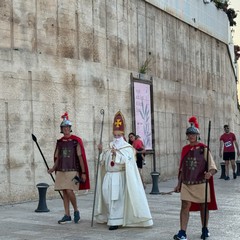 palio della quercia