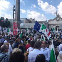 Manifestazione del Pd a Roma