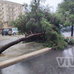 Allagamenti a Bisceglie