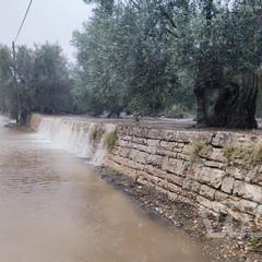 Allagamenti a Bisceglie