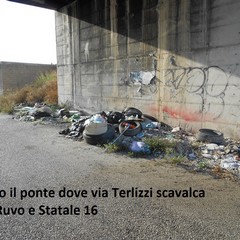 Report sui rifiuti a Bisceglie del Movimento 5 Stelle