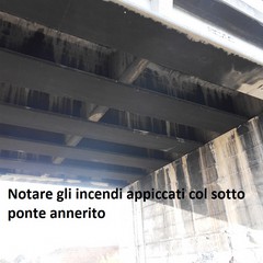 Report sui rifiuti a Bisceglie del Movimento 5 Stelle