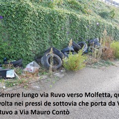 Report sui rifiuti a Bisceglie del Movimento 5 Stelle