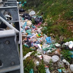 16 bis, iniziata la rimozione dei rifiuti dalle piazzole ma per Pro Natura la situazione è ancora critica