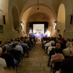 Presentazione del libro: "Cronache del porto di Bisceglie"