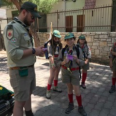 Scout lupetti