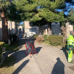 Interventi di pulizia e manutenzione al cimitero di Bisceglie