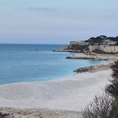 Spiagge Bisceglie