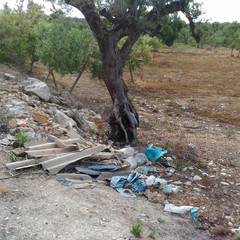 Strada Provinciale Molfetta Corato