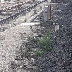 Treno merci fermo in stazione a Bisceglie