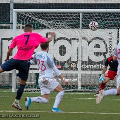 Unione Calcio Bisceglie-Fortis Altamura