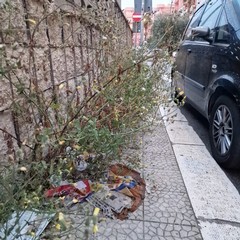 Via quartiere Seminario