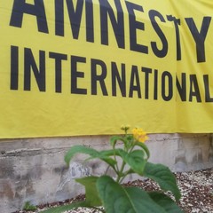 Bisceglie, Amnesty International pianta delle lantane all'esterno della bibilioteca dell'Opera Don Uva