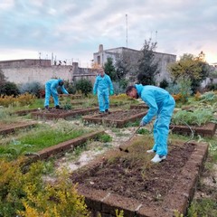 “Orto Didattico Solidale”