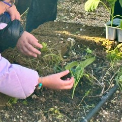 “Orto Didattico Solidale”