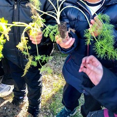 “Orto Didattico Solidale”