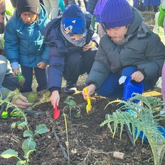 “Orto Didattico Solidale”