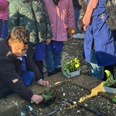 “Orto Didattico Solidale”