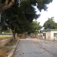 Fiaccolata Alicia Amoruso
