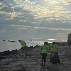 Bisceglie Running ripulisce la spiaggia del Macello