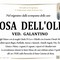 DELL'0LIO ROSA