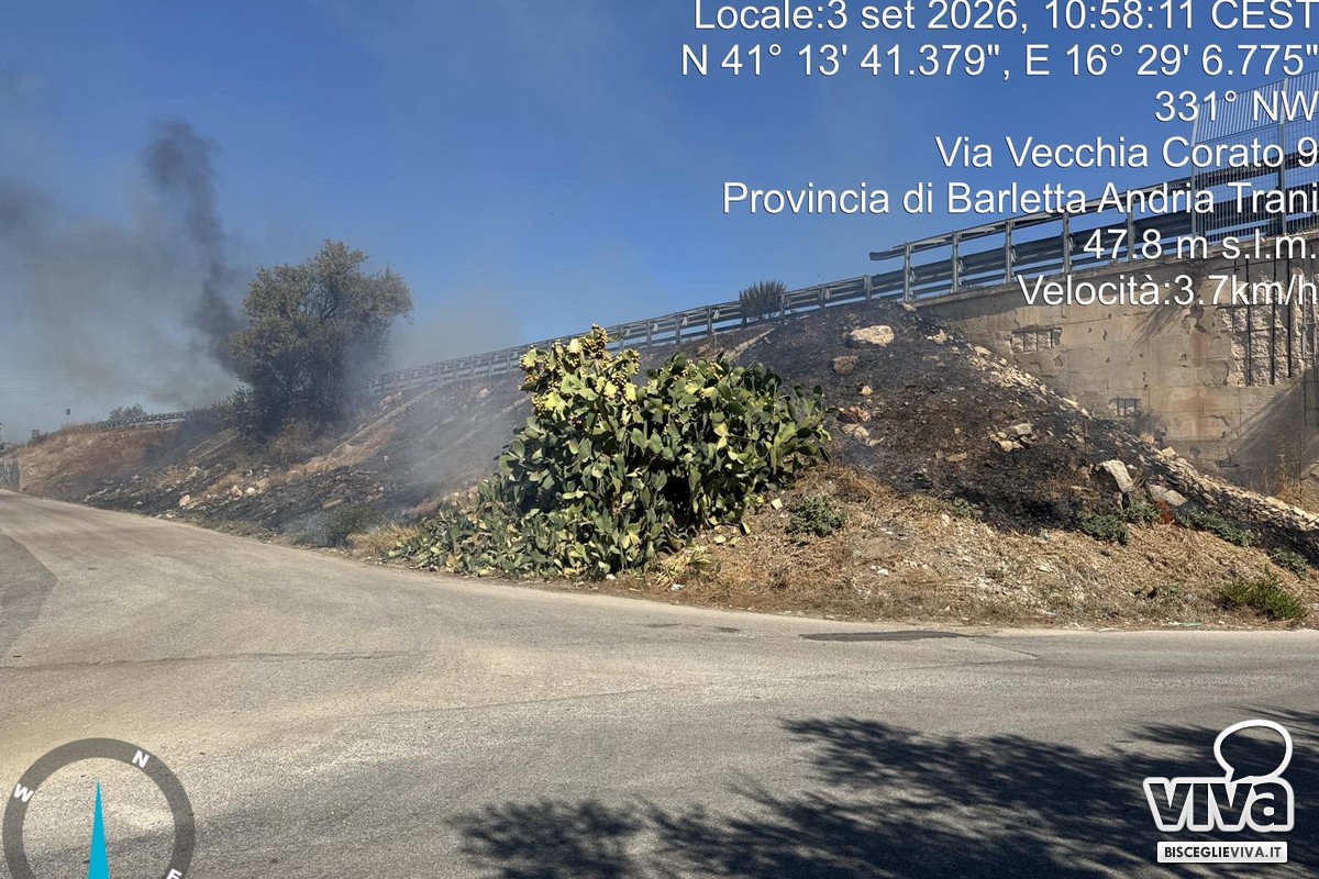 Incendio di sterpaglie e rifiuti in via Vecchia Corato