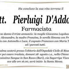 Dott. Pierluigi  D'Addosio