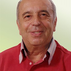 PALMIOTTI LUIGI