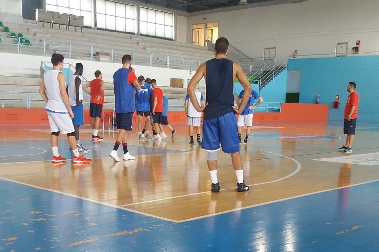 Lions al lavoro sul parquet del PalaDolmen. <span>Foto Bisceglieviva</span>