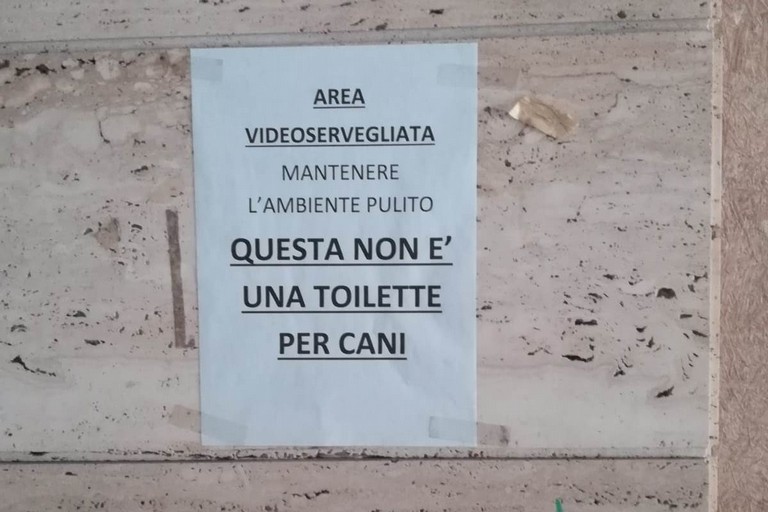 Bisceglie, una città più pulita, libera da deiezioni e da rifiuti abbandonati