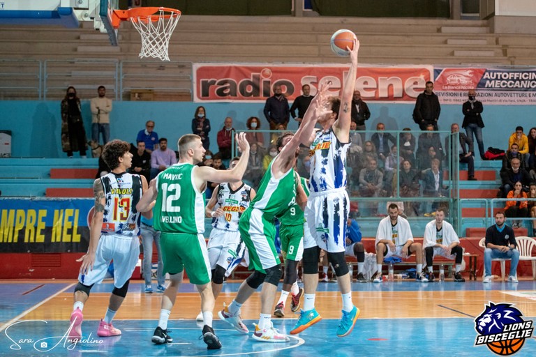 Lions Bisceglie in azione. <span>Foto Sara Angiolino</span>