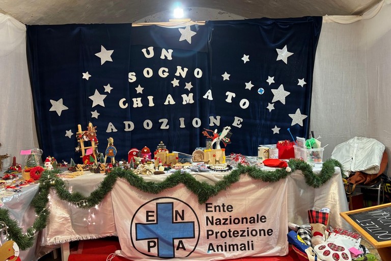 ENPA al Borgo di Natale