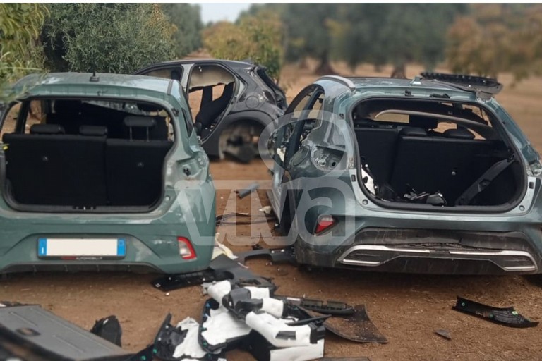 Auto cannibalizzate
