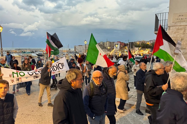 Il sindaco alla manifestazione per la Palestina