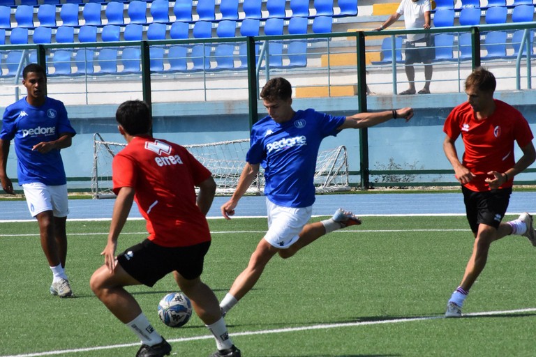 Alessandro Conte