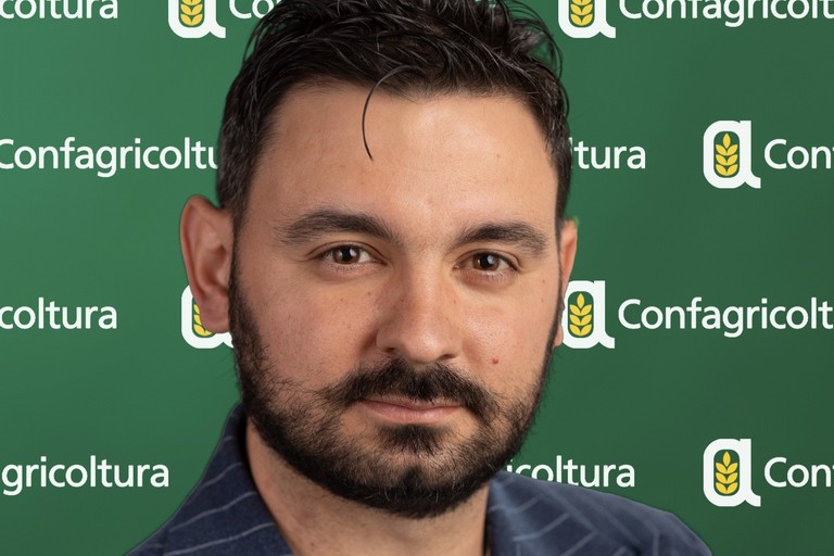 Giuseppe Di Niso
