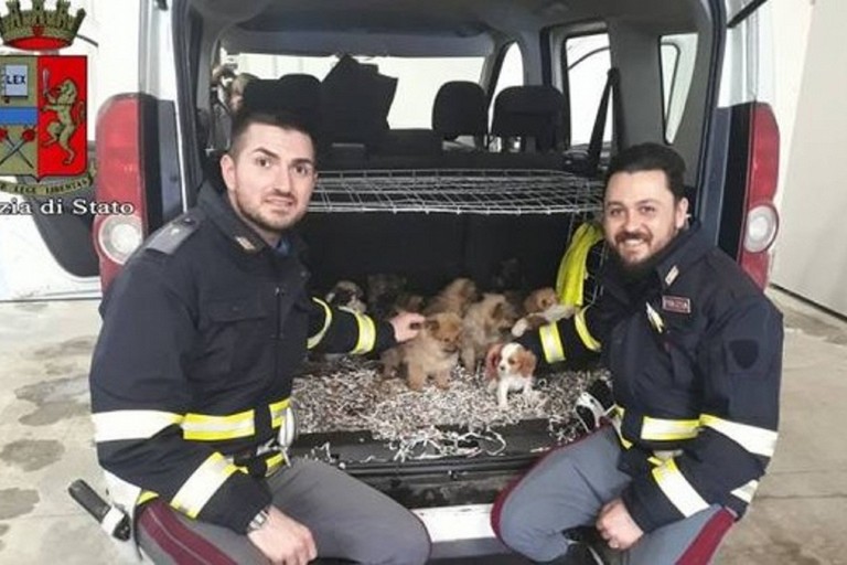 Il biscegliese Mauro Gargiulo (a destra), agente della Polstrada